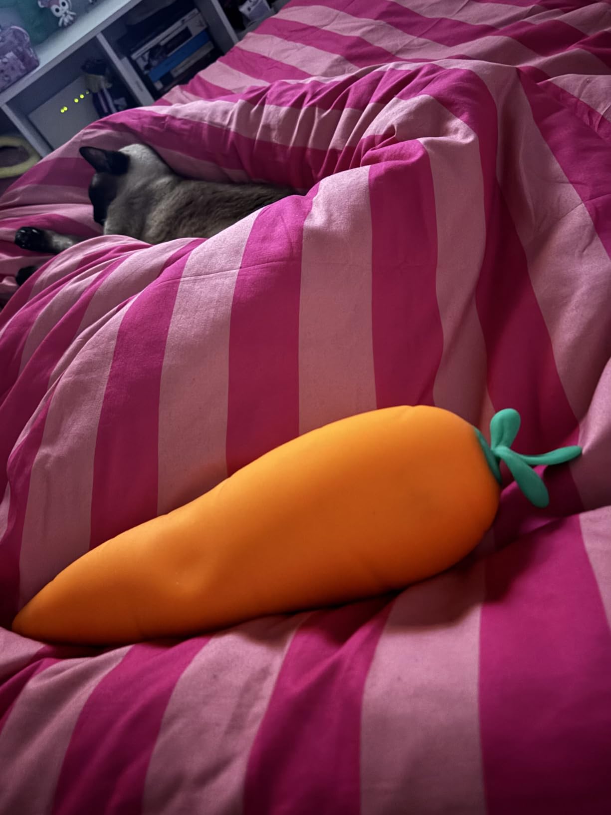 The orange Toymendous Squishy Carrot lying on a pink striped bedspread with a cat asleep behind it